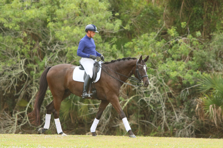 DressageWarmUp