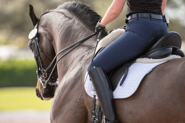 SittingTrot_1