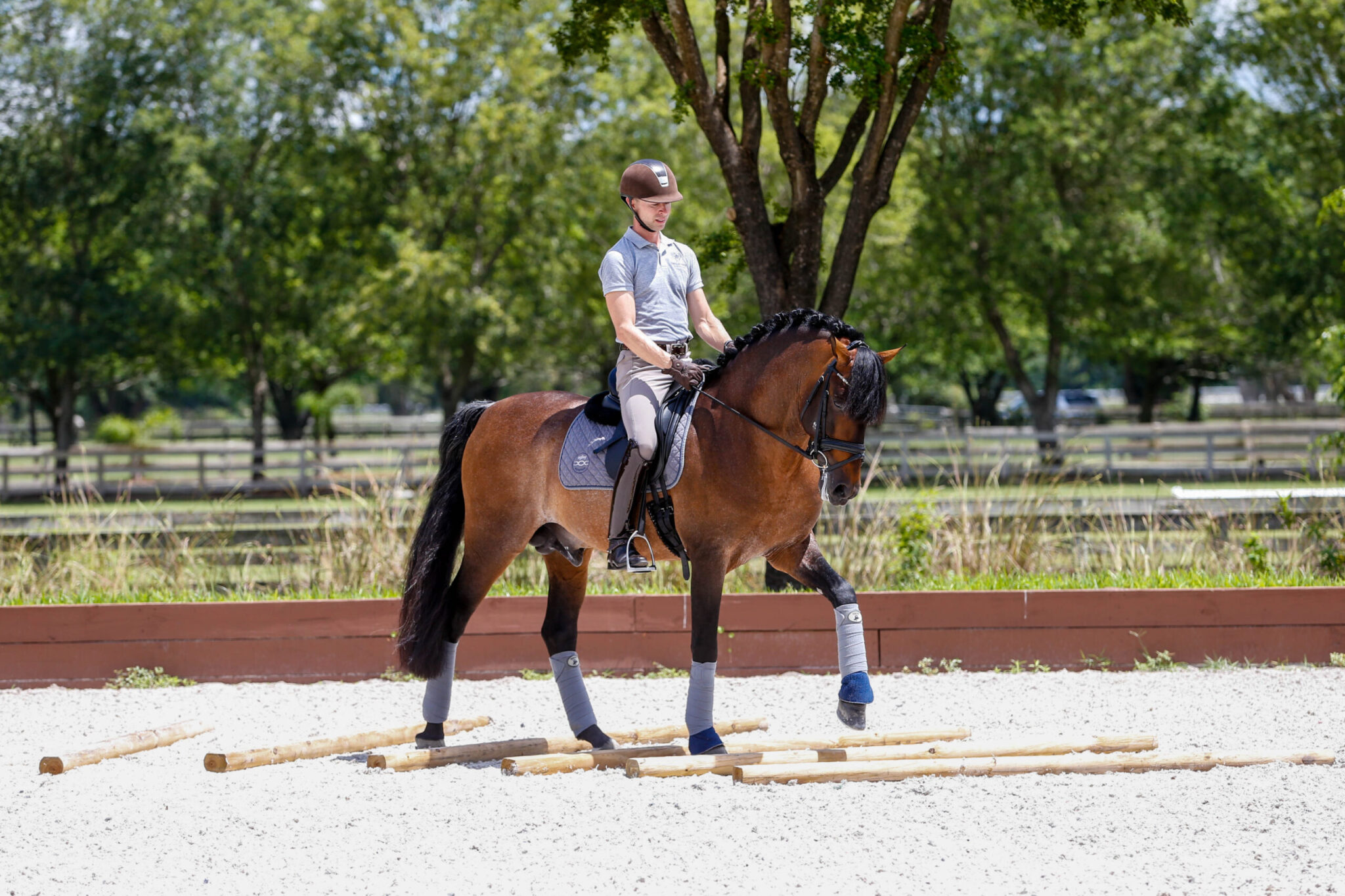 Cavaletti grand modèle à 3 trous