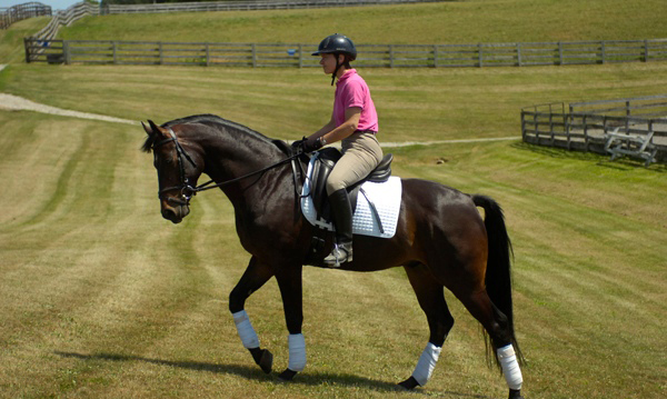HillsDressage copy