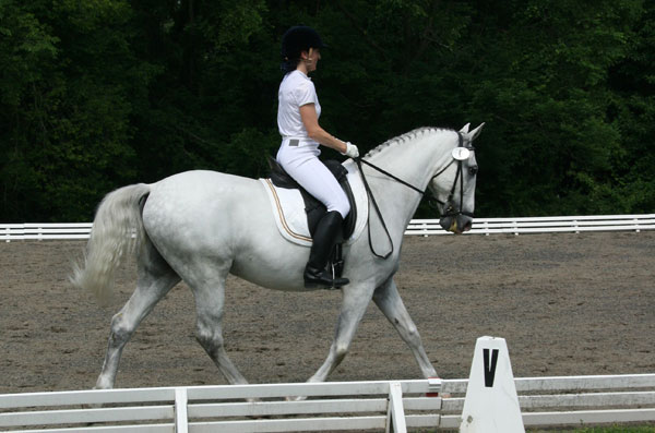 16-Coats-waived-in-dressage