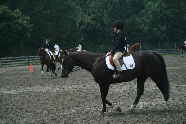 39-Pony-in-warm-up,-with-Lingh-(Dutch-Olympic-horse-in-2004)-at-left