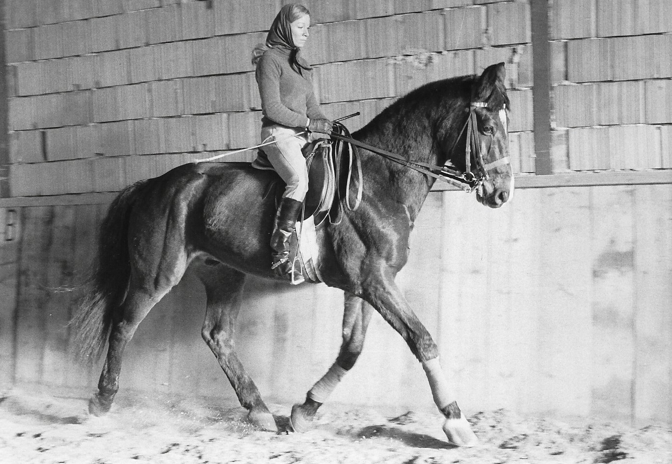 Granat: An Unlikely Dressage Champion