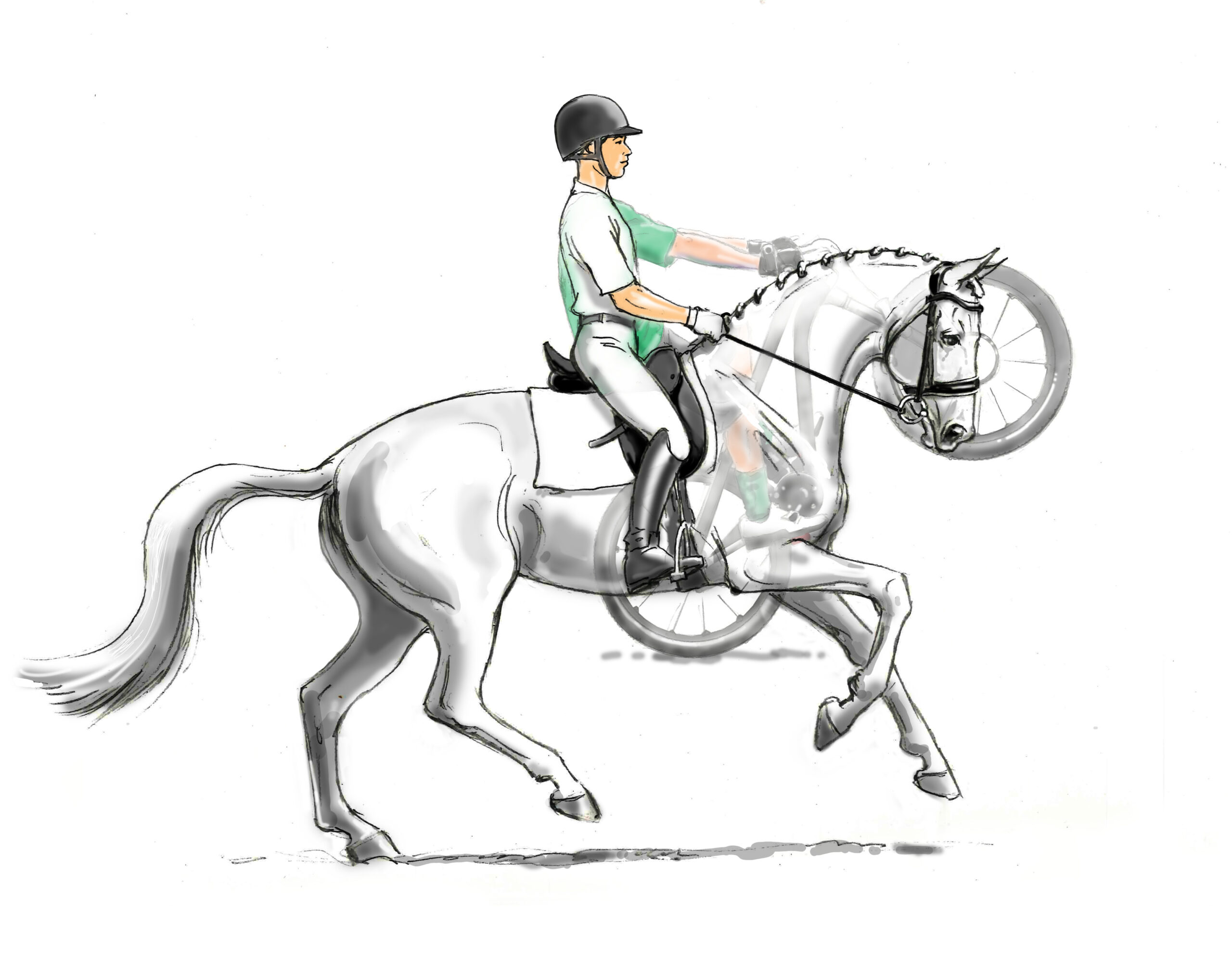 bike wheelie dressage solutions chrissa hoffmann