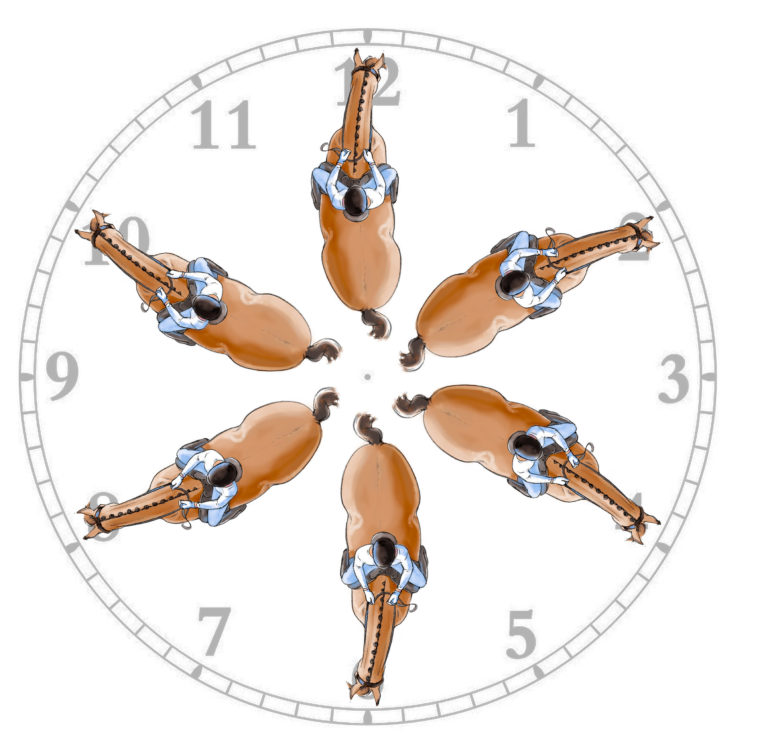 carl hester Pirouette Clock