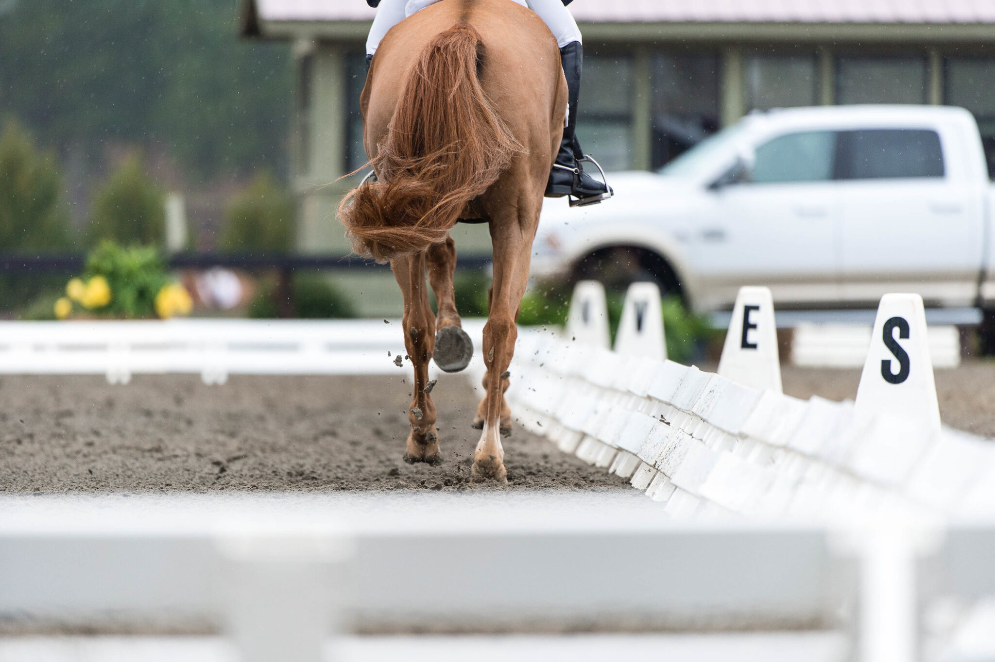 health-what-is-shivers-in-horses