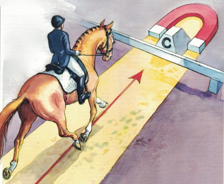 chris hickey dressage solutions magnet (1)