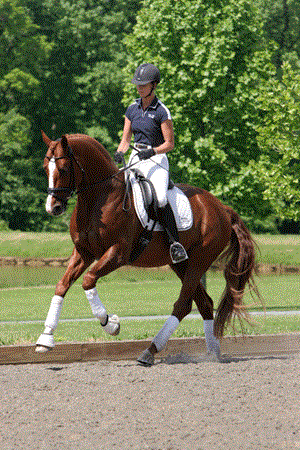 control-of-canter