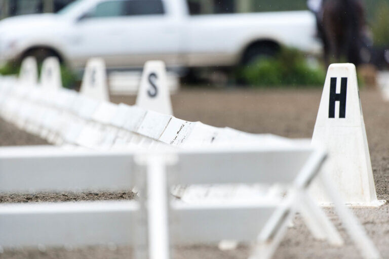 dressage basics