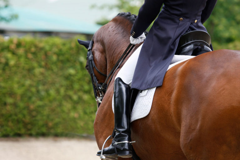 Dressage-horse-gastric-ulcers