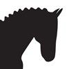 dressage horse icon