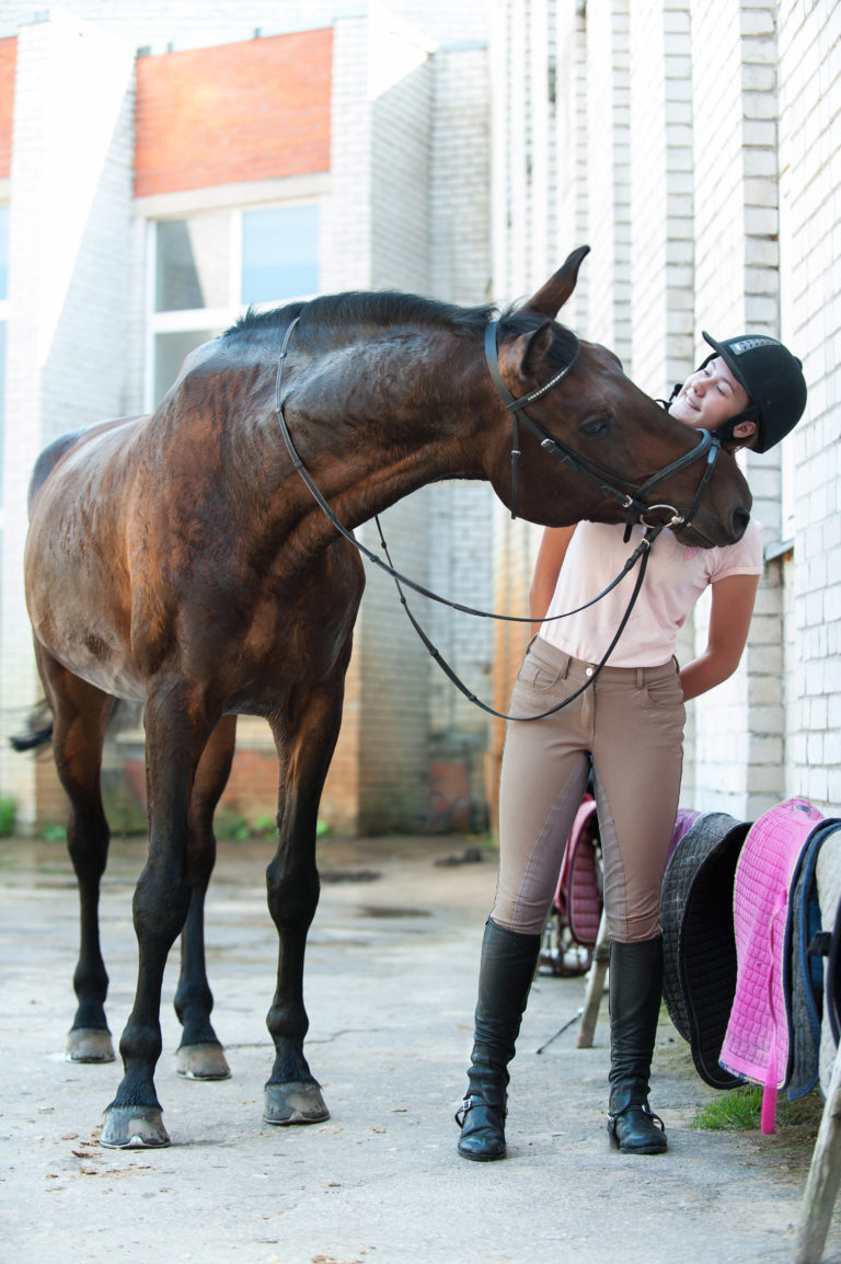 dressage rewarding horse and rider