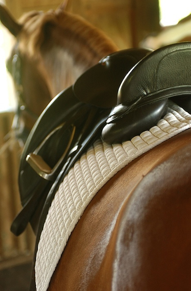 dressage saddle fit