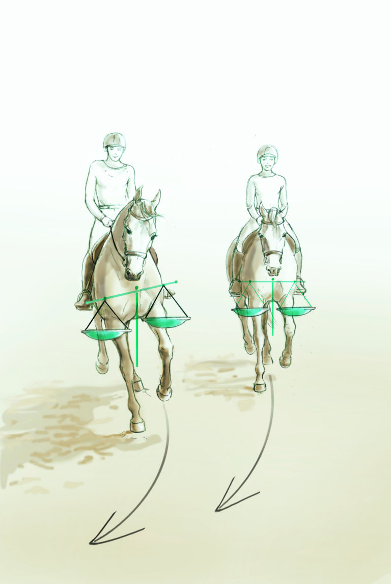 dressage Scale Solutions