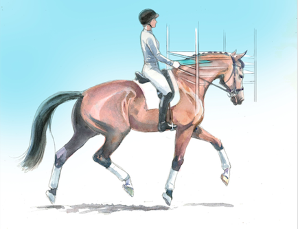 dressage solutions tray lift lilo fore 2