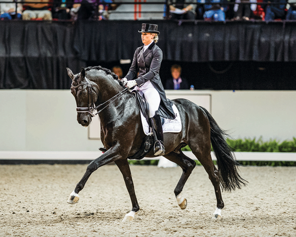 DT-01-mobragana-accurate-dressage