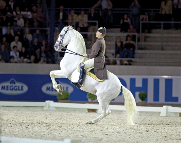 DT-01-williams-levade-dressage