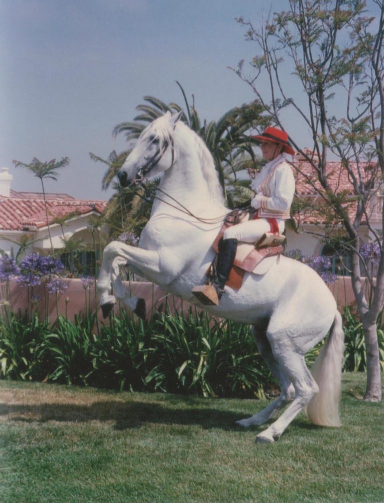 Eloise, 1980's, Lusitano Stallion, levade