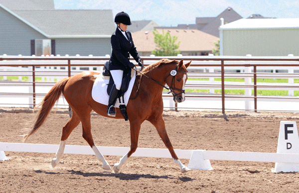 emily-sagers-dressage