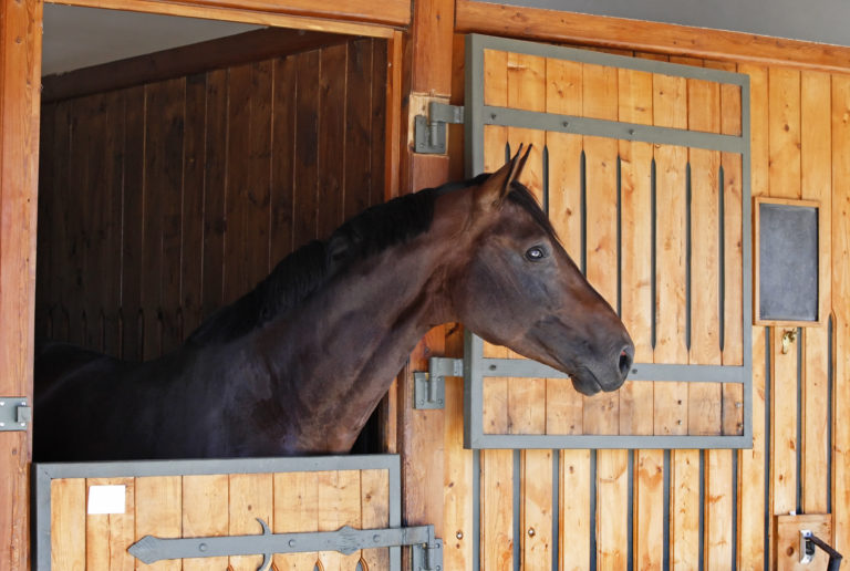 horse boarding dressage facility
