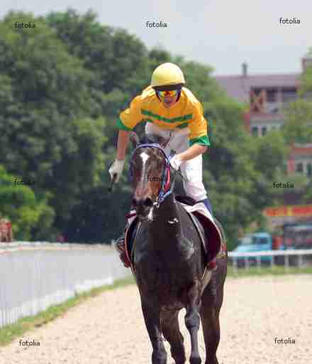 Horse jockey running at race