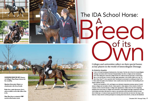 IDA-School-Horses