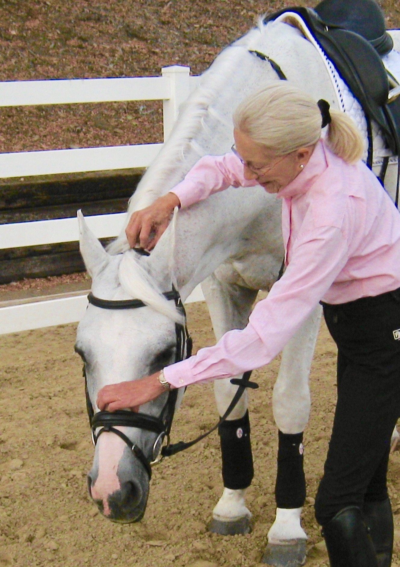 Basic Horse Behavior for Dressage Success