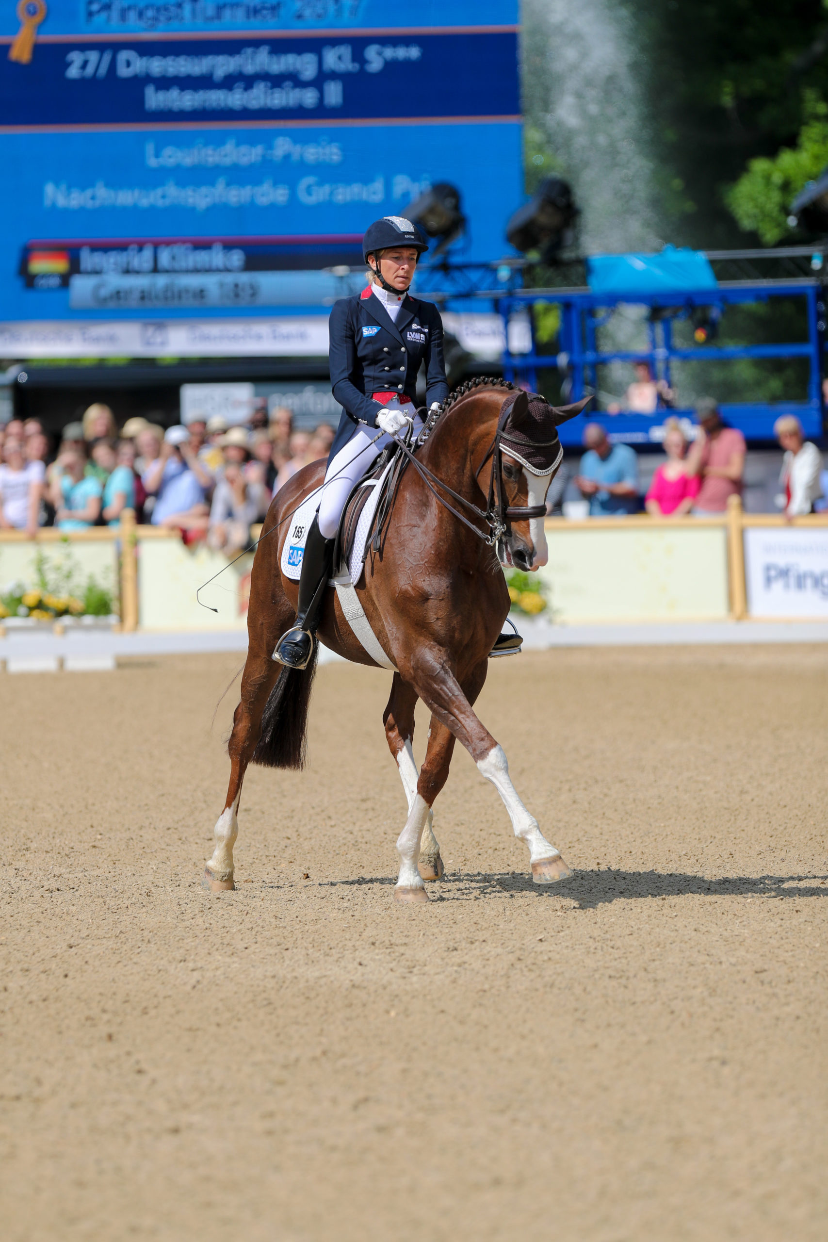 16 Dressage Training Questions with Ingrid Klimke
