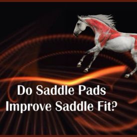 jochen-schleese-saddle-fitting-tip---do-saddle-pads-improve-saddle-fit-promo-image
