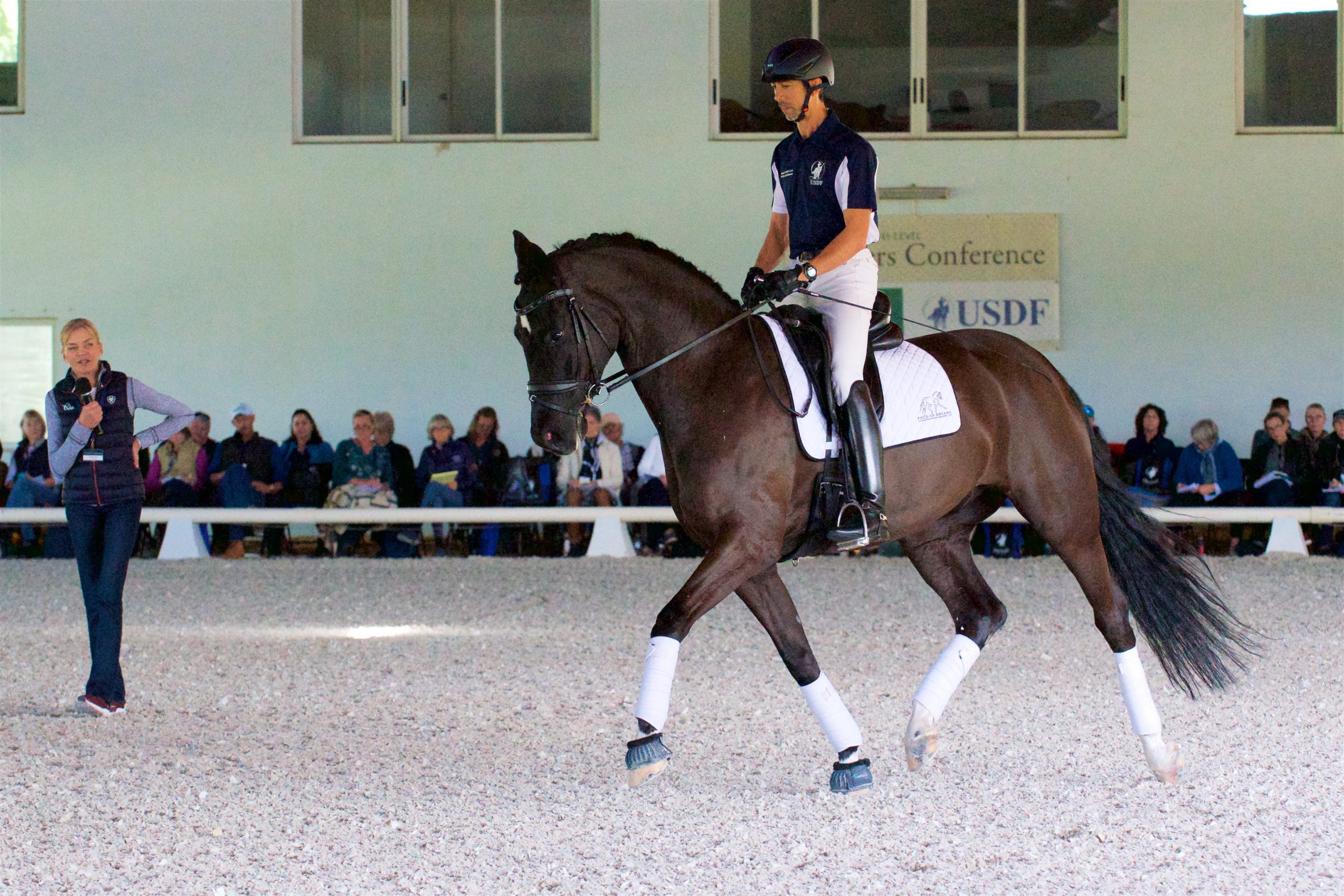 Dressage Terminology Explained: In Front of the Leg