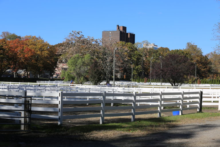 riverdale stables fencing tall buildings nyc