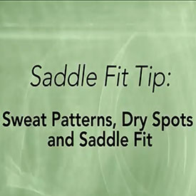 saddle-fitting-tip-august17