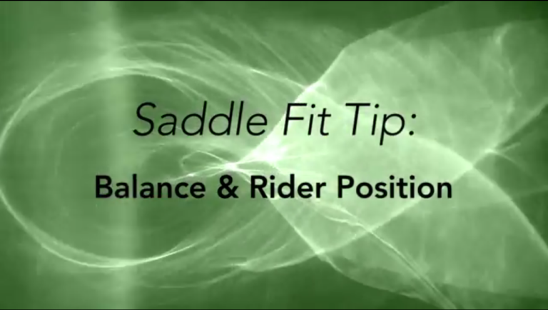 saddle-fitting-tip-july17
