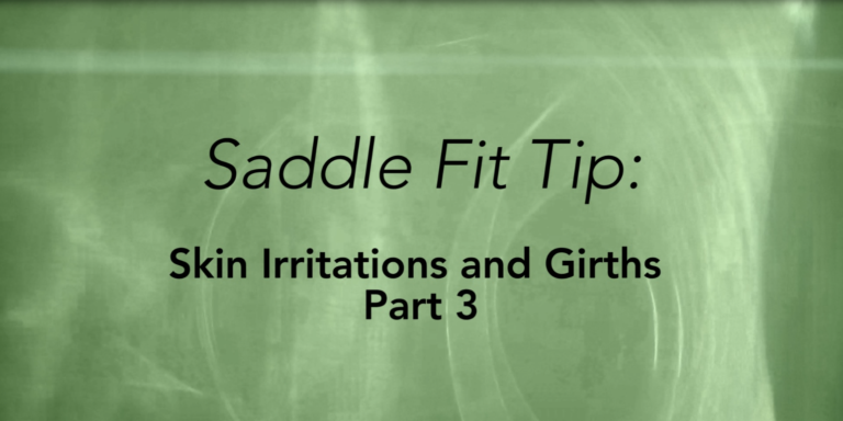 saddle-fitting-tip-june17