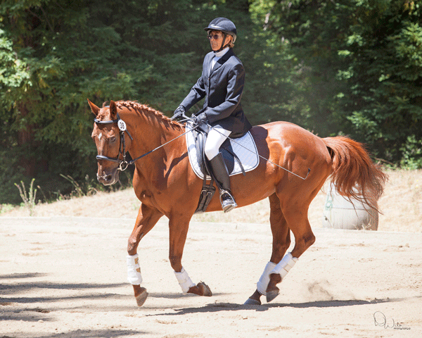 sally-francy-and-cherry-dressage