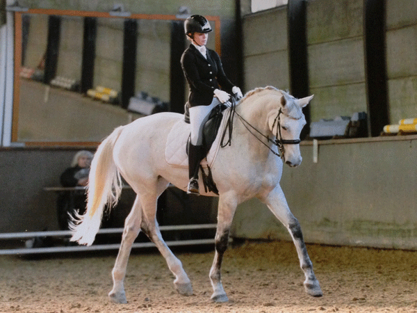 sophie-wager-and-perzka-dressage-today