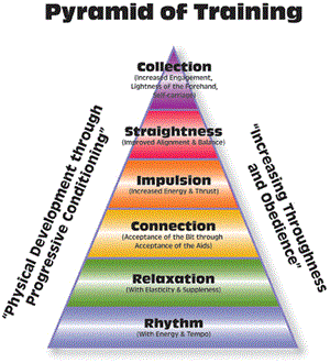 training-pyramid