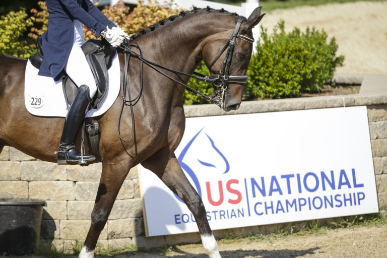 us national dressage championships by taylor pence