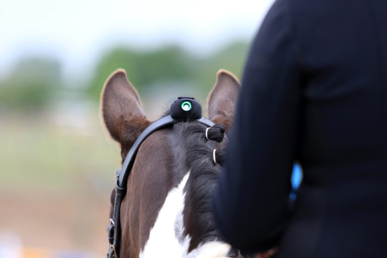 vert equestrian sensor