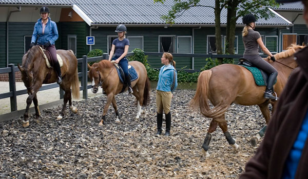 WEB-Riding-Instructor-with-Students