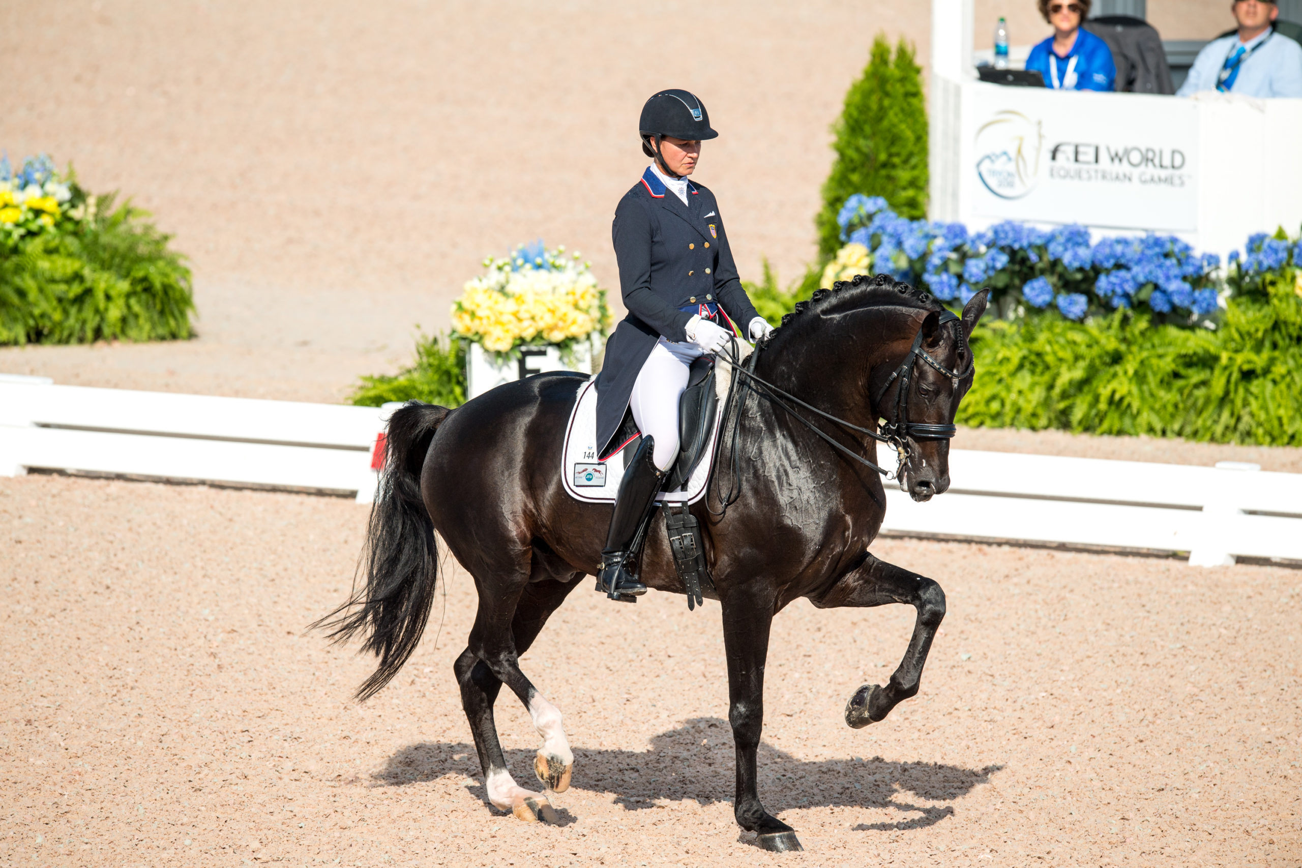 Dressage Terminology Explained: In Front of the Leg