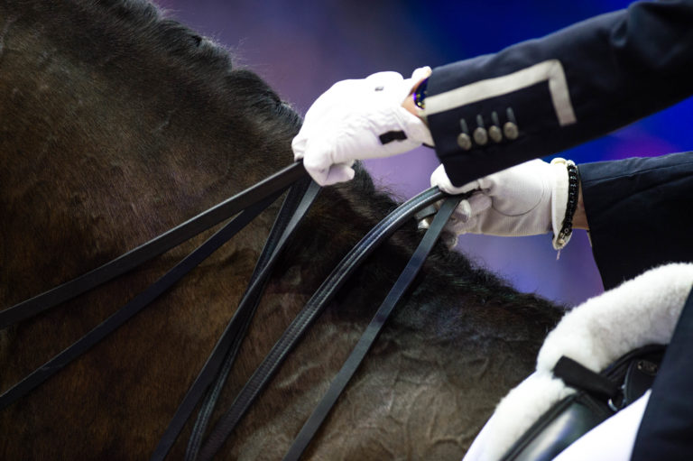 why practice halting without reins