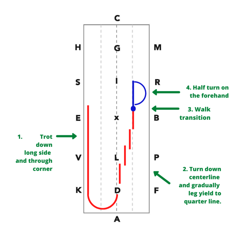 young horse exercise diagram-2