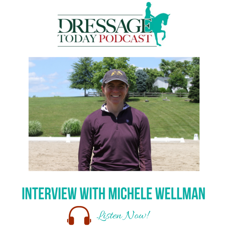 Michele Wellman Podcast Cover