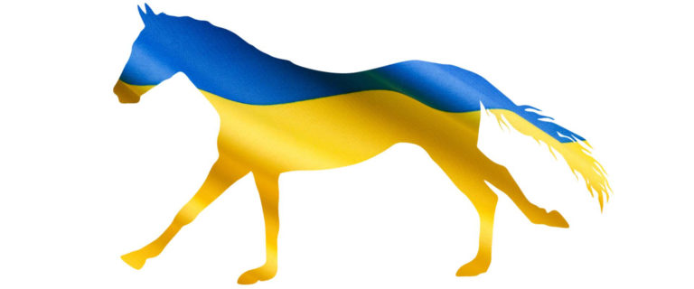 Ukraine-horse-002