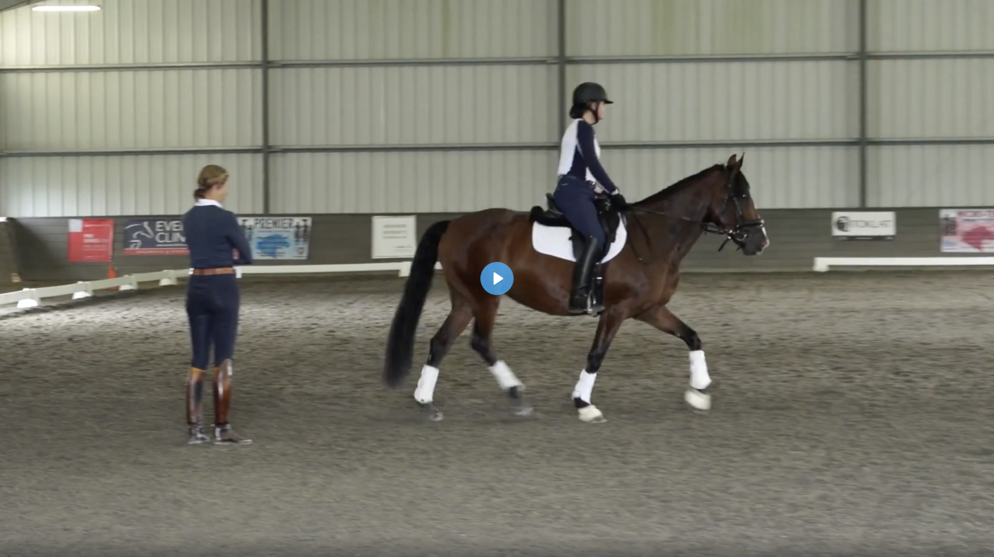 Practicing Transitions for Training Level Test 3 Dressage Today