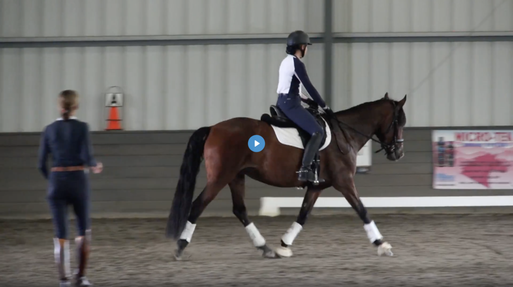 Ride Through Training Level Test 3 Dressage Today