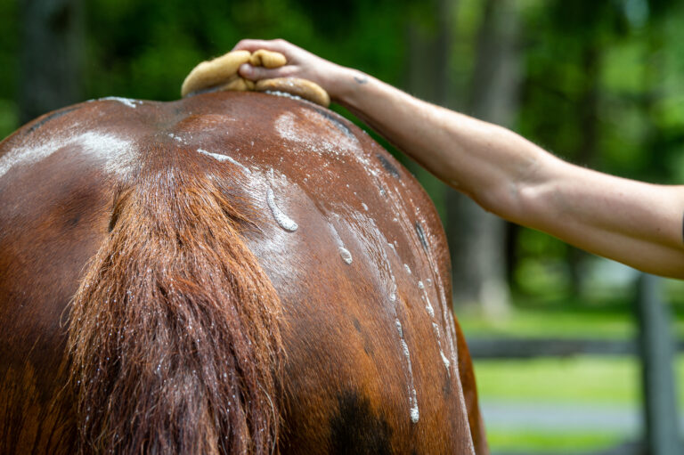 Liniment