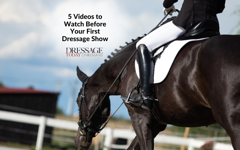 Dressage Terminology Explained: In Front of the Leg