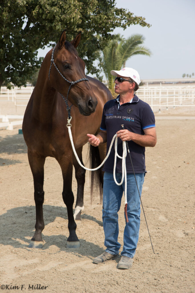 ground manners